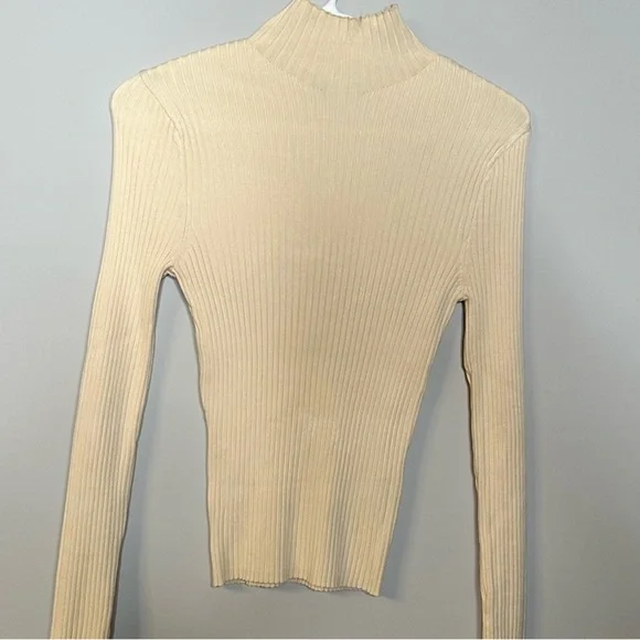 Zara Ribbed Turtleneck - Picture 7 of 7
